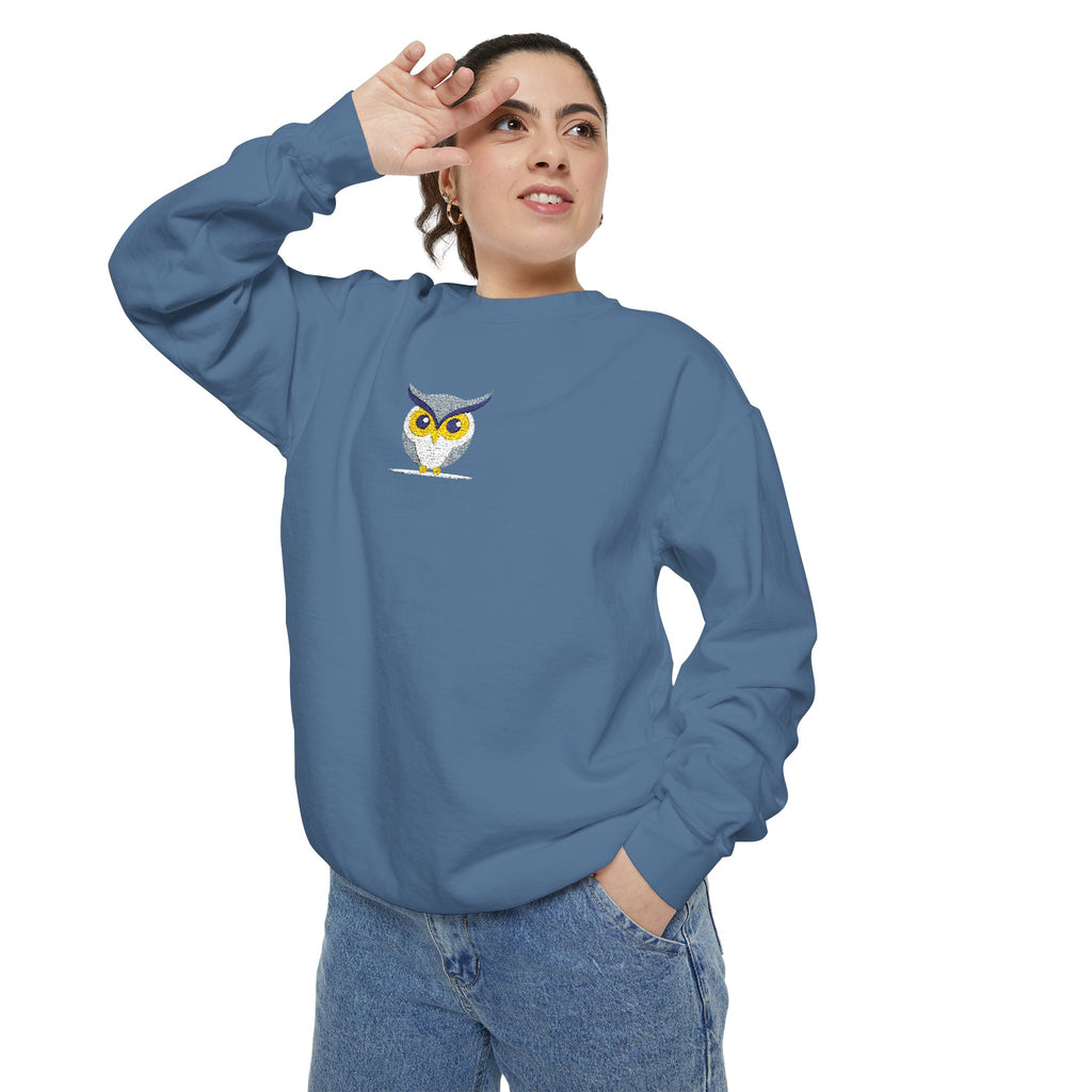 Embroidered Yellow Blue Owl Sweatshirt Small Chest Graphic Crewneck