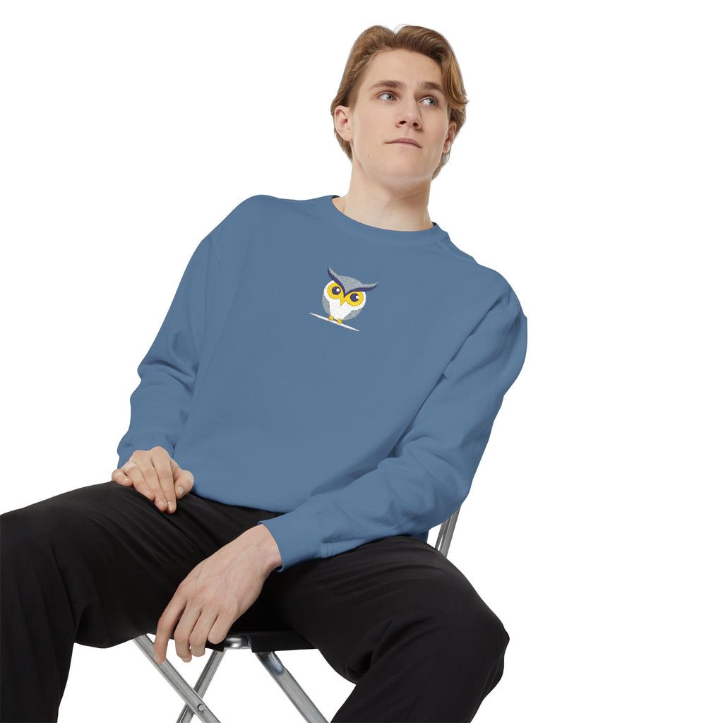 Embroidered Yellow Blue Owl Sweatshirt Small Chest Graphic Crewneck