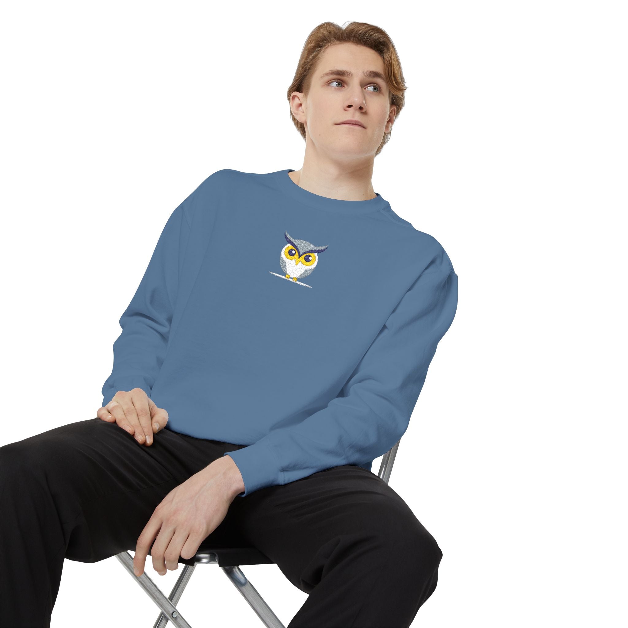 Embroidered Yellow Blue Owl Sweatshirt Small Chest Graphic Crewneck
