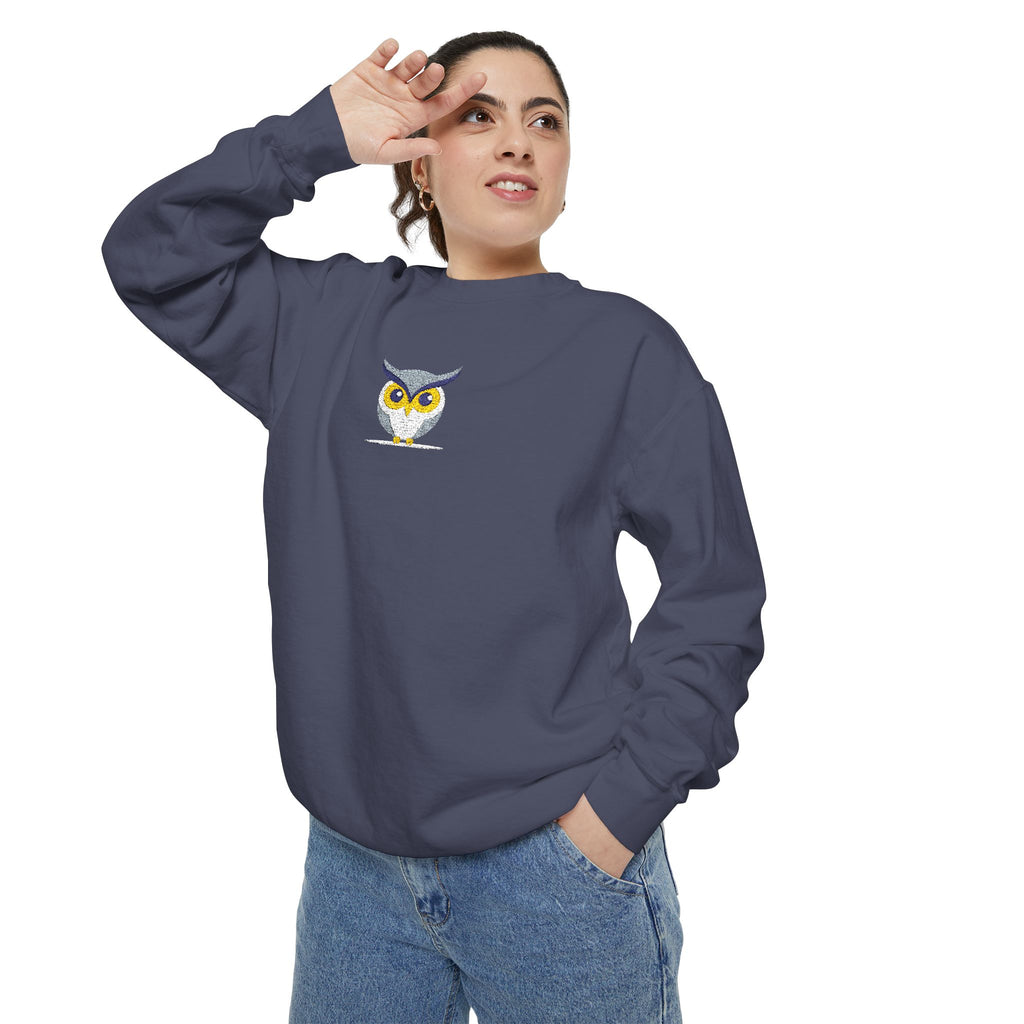 Embroidered Yellow Blue Owl Sweatshirt Small Chest Graphic Crewneck