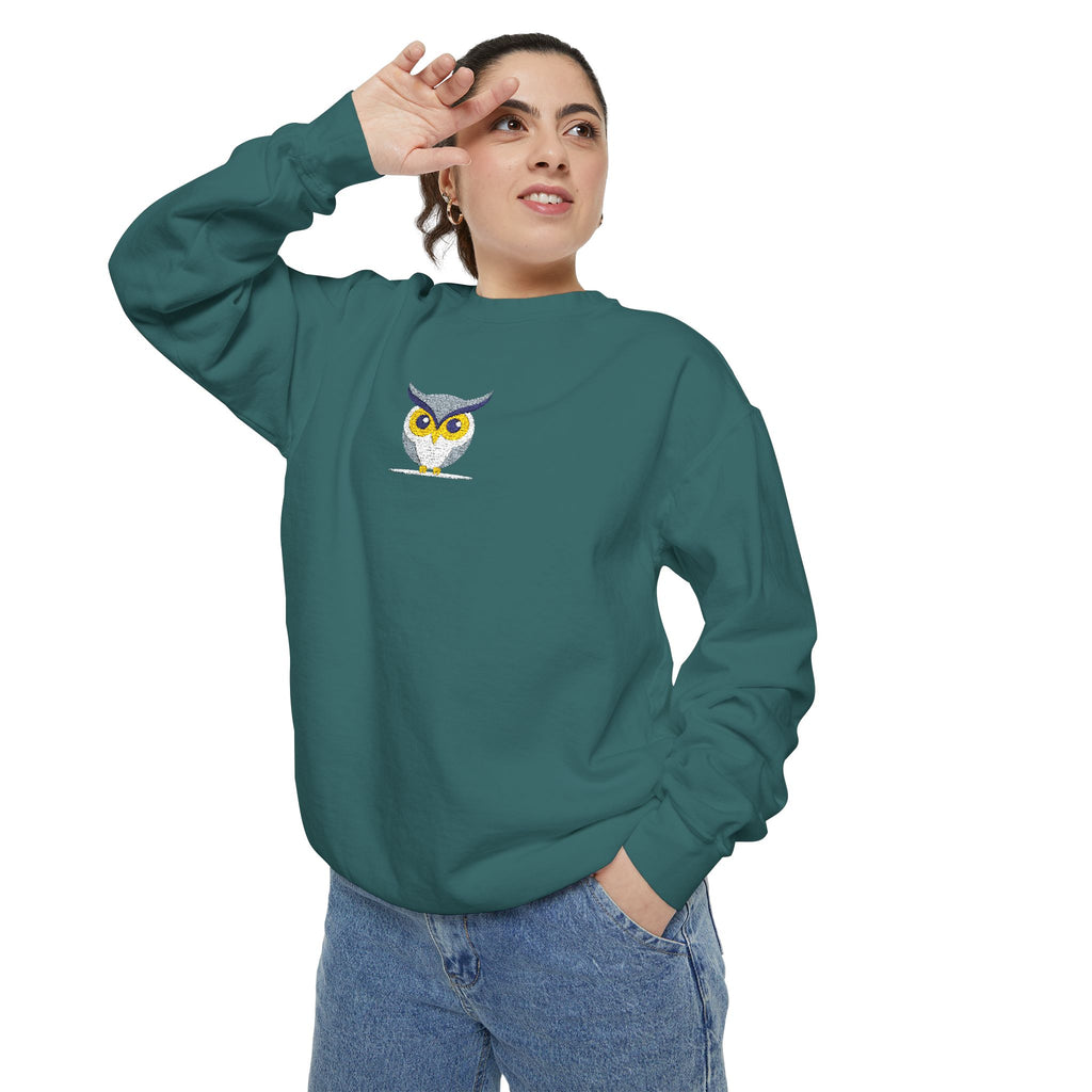 Embroidered Yellow Blue Owl Sweatshirt Small Chest Graphic Crewneck