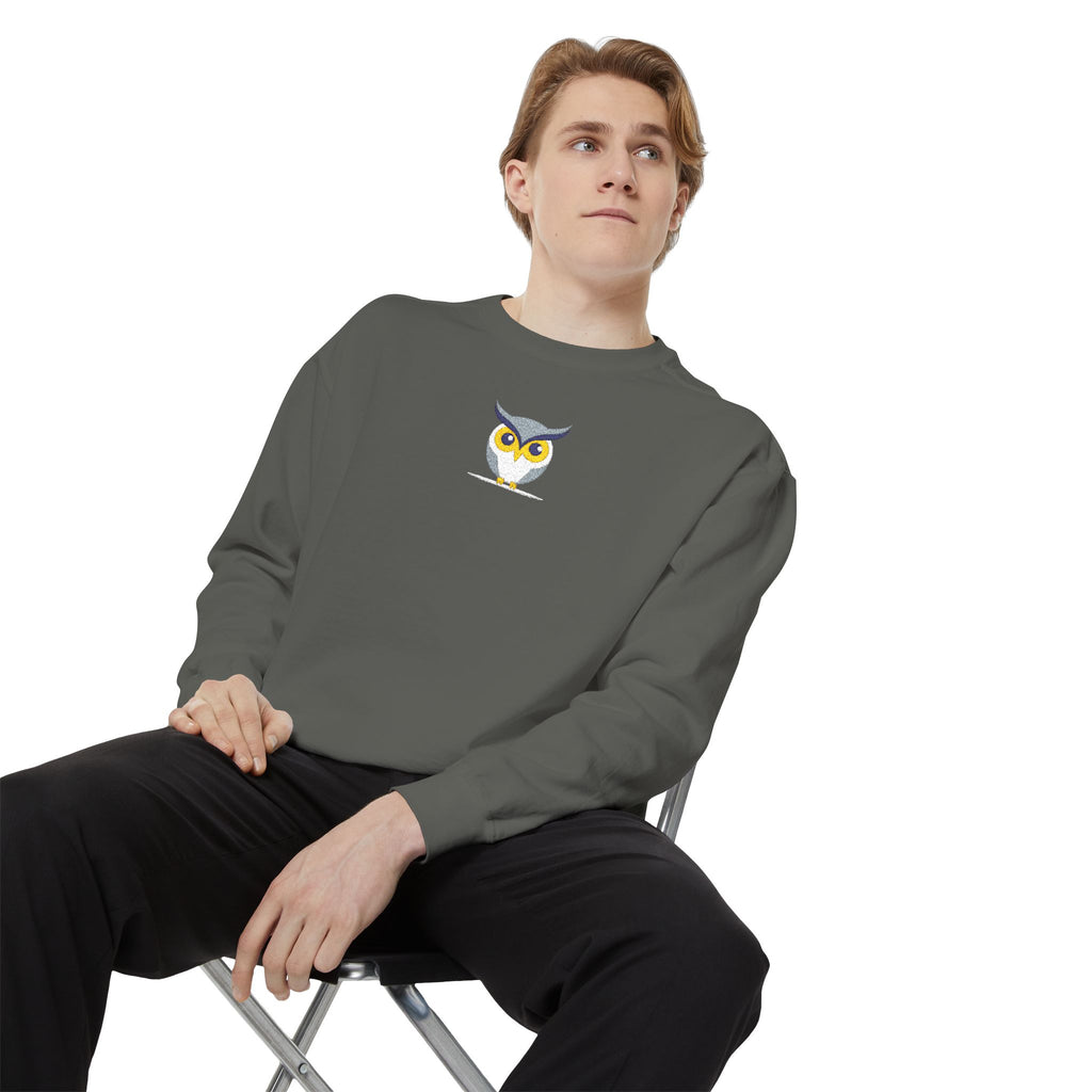 Embroidered Yellow Blue Owl Sweatshirt Small Chest Graphic Crewneck