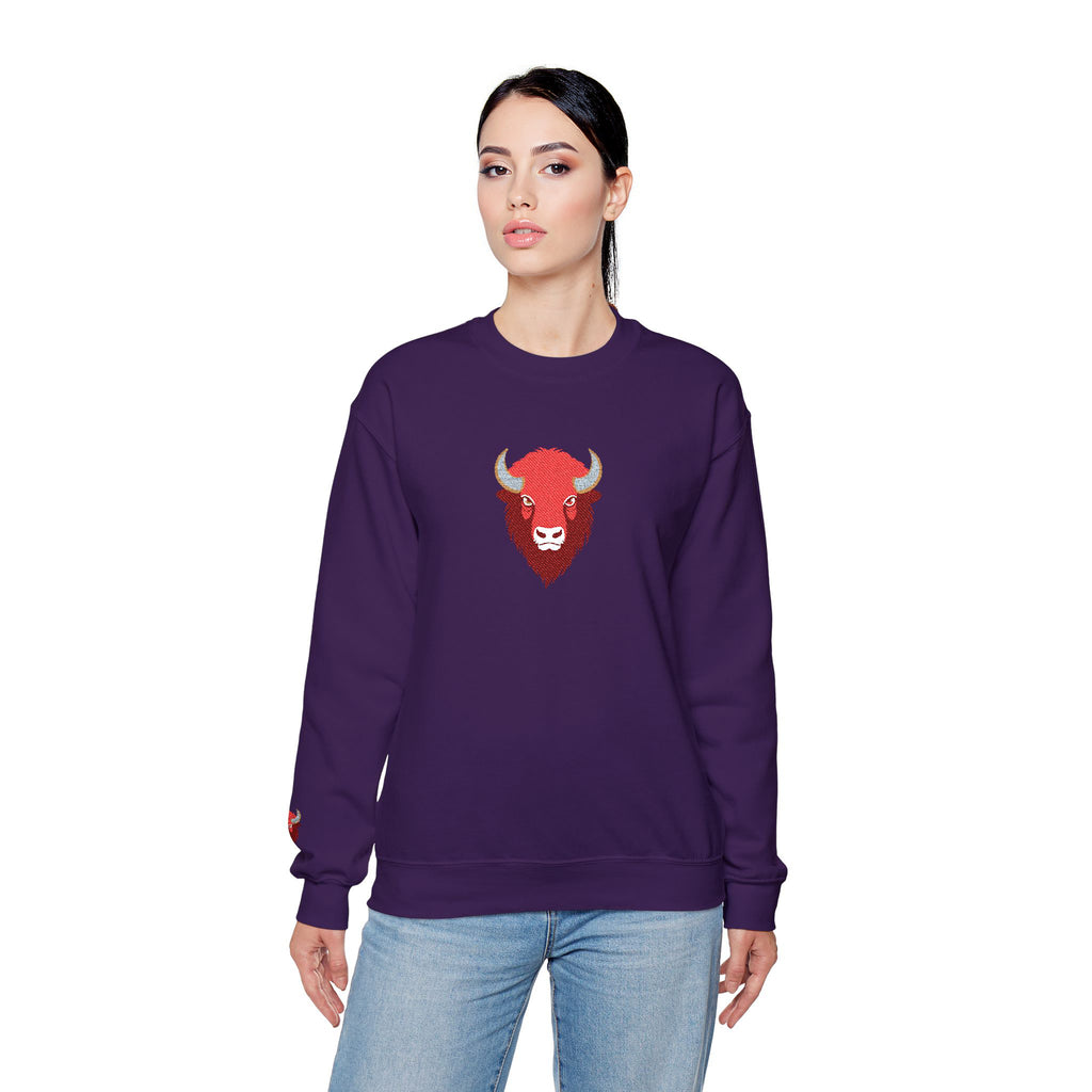 Person wearing a purple sweatshirt with a red bull logo on a white background